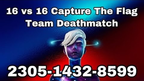 16 vs 16 CTF / Team DeathMatch 2305-1432-8599