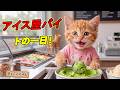 【緊急事態】猛暑の日にエアコン故障…お金がなくなったここにゃん、アイス屋で働き始めました😭🍦