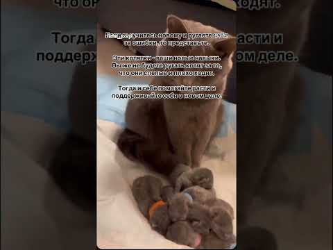 Больше видео на канале