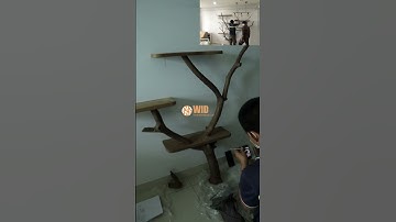 Floating Book Shelf Tree Branch Shelves Live Edge#shorts