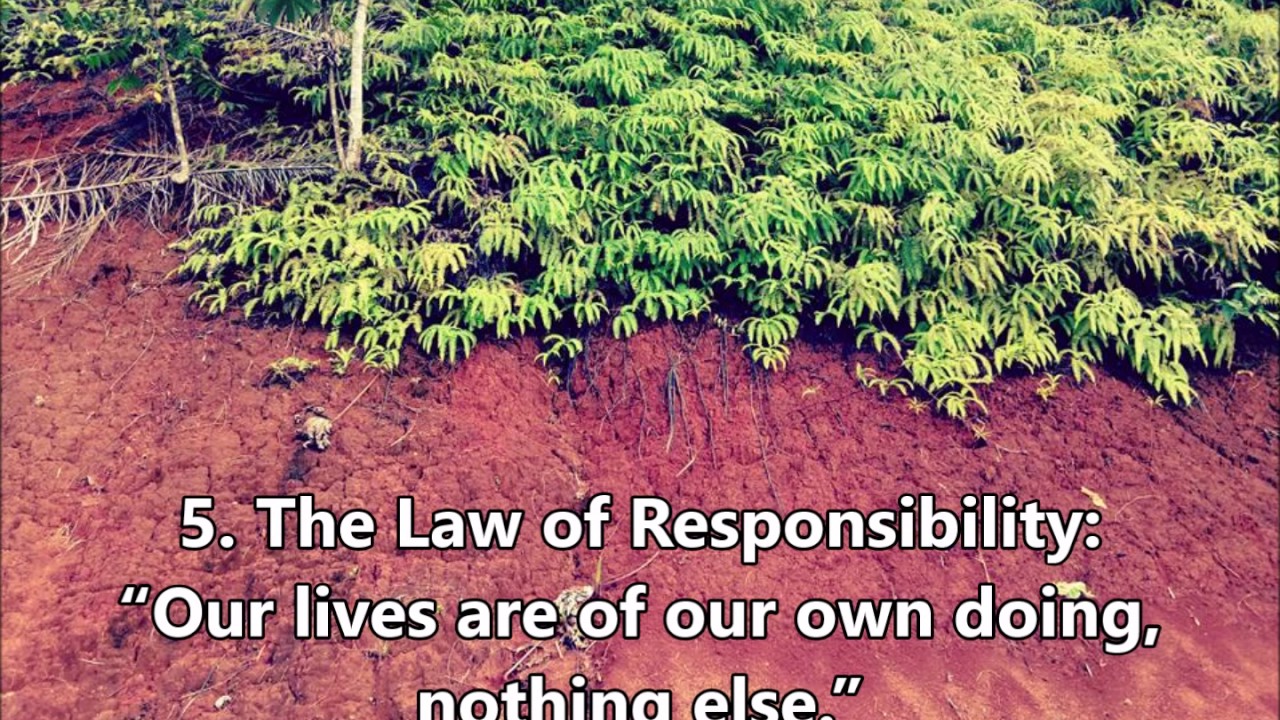 12 Laws of Karma that can change your life - YouTube