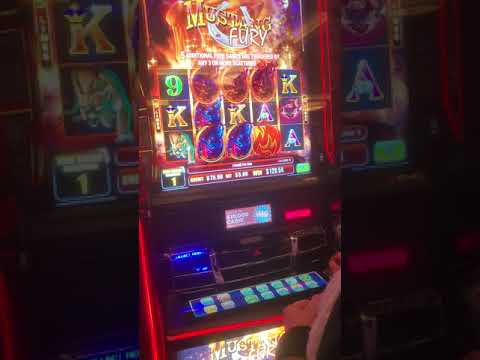 Bet365 Spin O’Reely 5 giros grátis desafio 6 placares 01/12/24 #bet365 #slot #casino