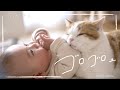寝返りが止まらない赤ちゃんと猫の日常