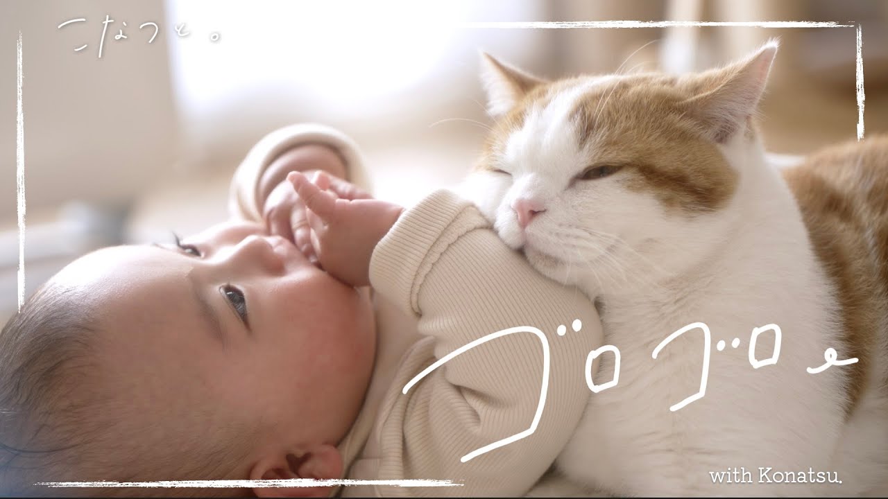 寝返りが止まらない赤ちゃんと猫の日常