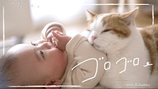 寝返りが止まらない赤ちゃんと猫の日常