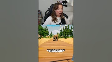 The Most Chaotic Co-op Game Ever Made