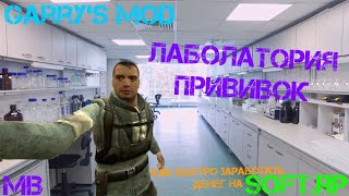 Soft RP Как Быстро Заработать Деньги screenshot 4