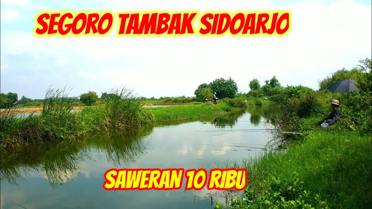 MASIH SETIA DISPOT INI MURAH POLL CUMA 10 RIBU ABAH USMAN//MANCING SEGORO TAMBAH NDADAPAN SIDOARJO