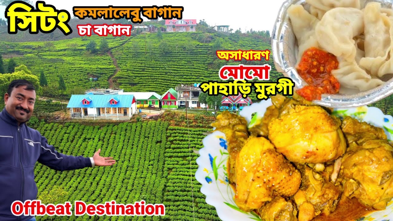 SITTONG এর কমলালেবু,চা বাগানের মধ্যে অপরূপ homestay তে পাহাড়ি মাংস,কাতলা || Offbeat Darjeeling ||