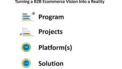 B2B Ecommerce Vision to Reality - Understanding Programs, Projects, Platforms, and Solutions