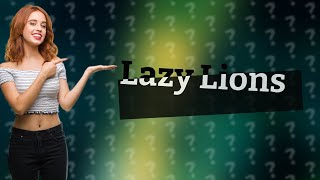 Why are lions lazy? by QNA w/ Zoey 2 views 5 hours ago 34 seconds