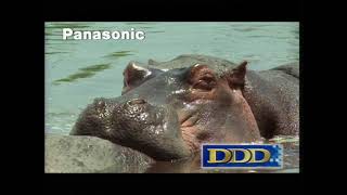 [Laserdisc] Panasonic DDD - Рекламный диск