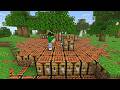 MINECRAFT MA OGNI BLOCCO CHE PIAZZO SI ESPANDE ALL'INFINITO!