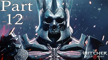 The Witcher 3: Wild Hunt  Walkthrough | Part 12 The Nilfgaardian Connection