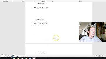 Inquiry Cube Activity lesson