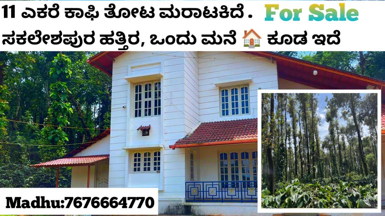 (#70) 11 acre Arebica coffee estate for sale near sakleshpura taluk Hassan district ☎️7676664770