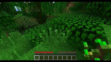 Minecraft with mod, need help (Sonic Ethers Unbelievable Shaders v08 1.2.4)