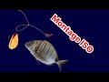 Iso fishing  montage hameon et plomb 