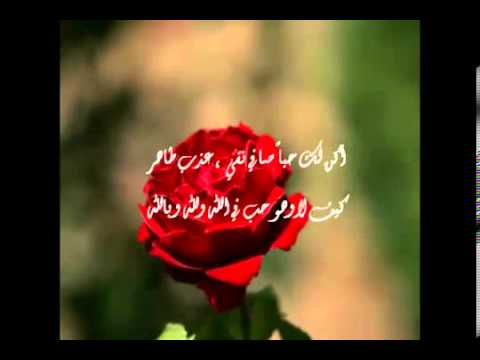 الى معلمتي الغاليه خلود