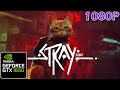 Stray | gtx 1650 4GB ( in 2022) | Native 1080p Ultra Settings Test