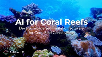 Join the AI for Coral Reefs Challenge!