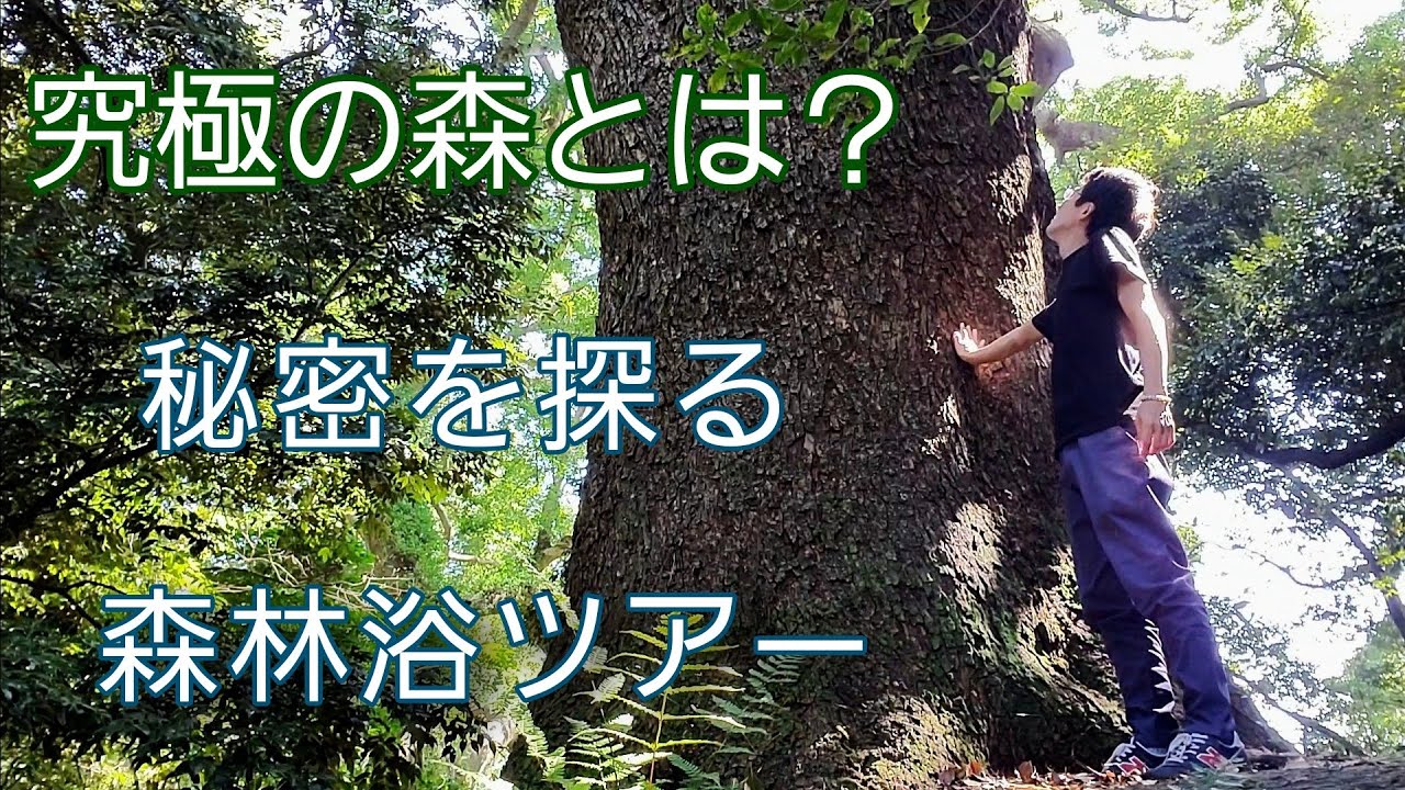 ハナミズキの剪定 樹形を整えて 枝の伸びを抑える手入れ Youtube