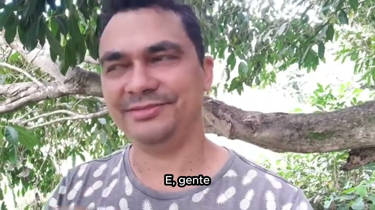 NOVO TERRENO
