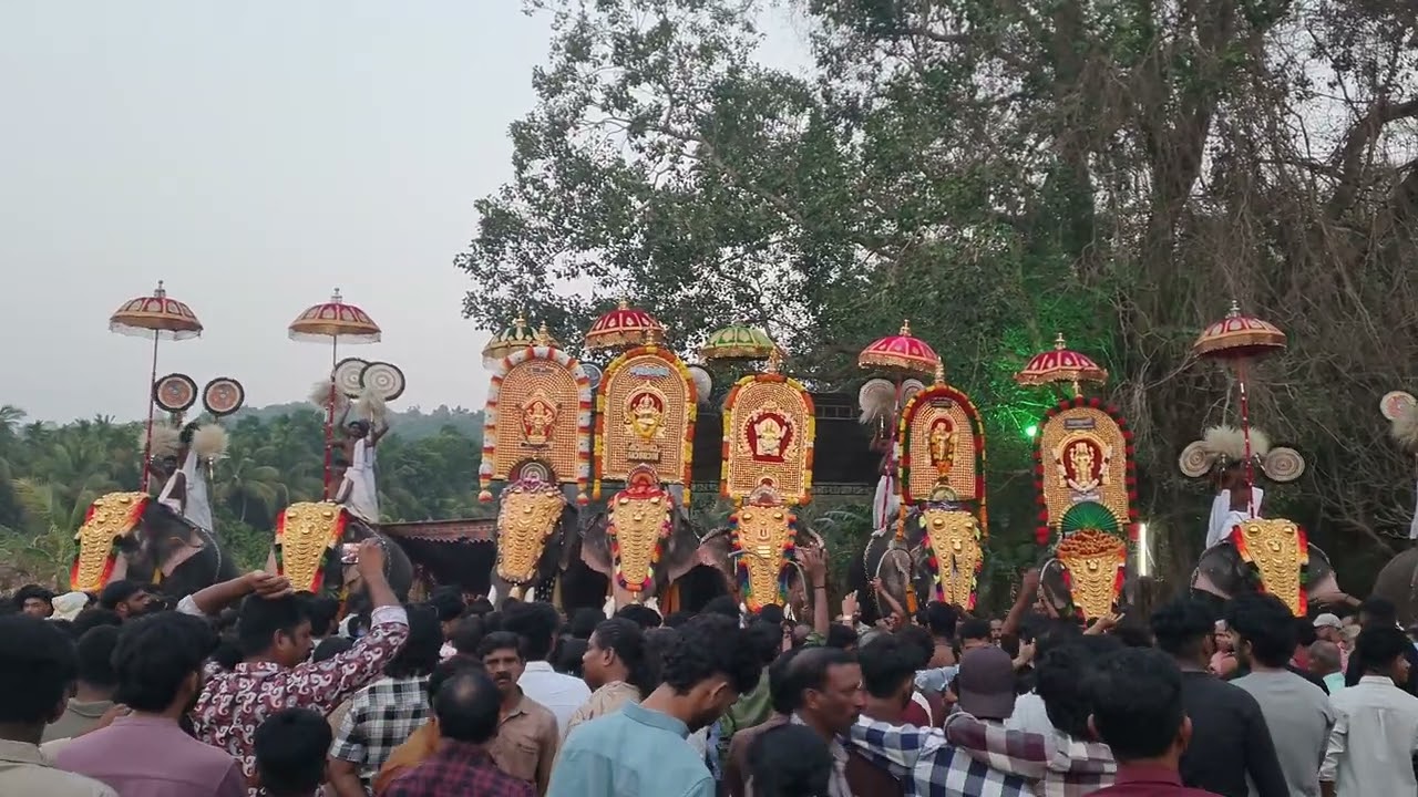 kodumbu pooram 2026🔥