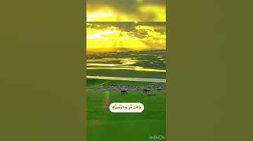 ‏(قُلْ أَذَٰلِكَ خير أَمْ جنة الْخُلد التي وُعِدَ المتقون ۚ) سورة الفرقان ياسر الدوسري - صلاة الفجر