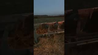 Lovol 754 oranje