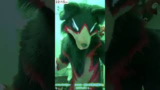 【獣化/fursuit#103】水曜のもふもふタイム🐾【ジュージュー】#fursuit #獣化 #shorts