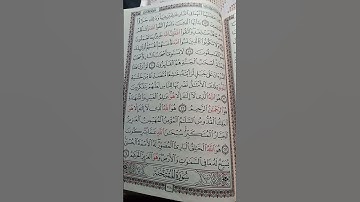 سورة الحشر @حمزة بوديب