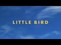 Jonas brothers  little bird official lyric