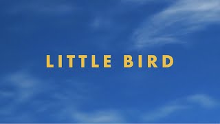 Jonas Brothers - Little Bird