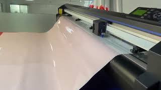 Mercedes Benz S350L Cutting Machine Software with KPAL PPF