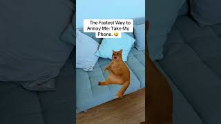 The Audacity Is Free These Days😂  #FunnyReels #Relatable #PhoneProblems #Chuzzmiss #comedy #shorts