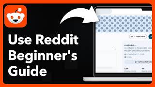 How to Use Reddit for Beginners