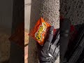 Crunchy as can be! #cheetah #cheetos #funny #cool #mold