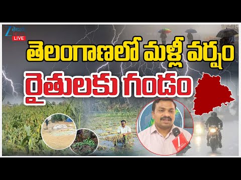 LIVE: Weather Officer | Heavy Rains Alert for Telangana | తెలంగాణలో మళ్లీ వర్షం రైతులకు గండం | ZEE - ZEE24TELUGUNEWS