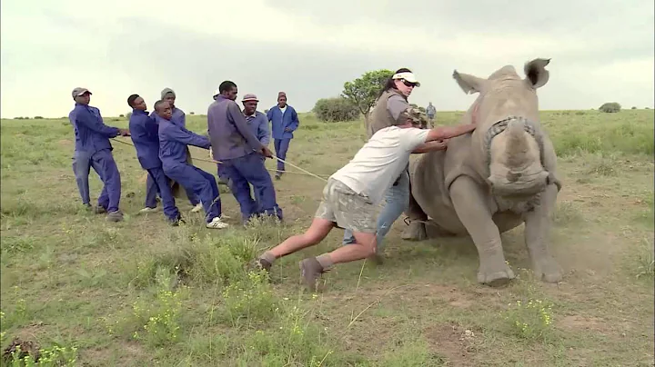 Poaching Wars Paramount Group K9 Solutions