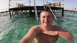 видео: Думал это Акула. Посейдону пару монет. Последний день в Pickalbatros Royal Moderna.Всё дорога домой картинка: Думал это Акула. Посейдону пару монет. Последний день в Pickalbatros Royal Moderna.Всё дорога домой