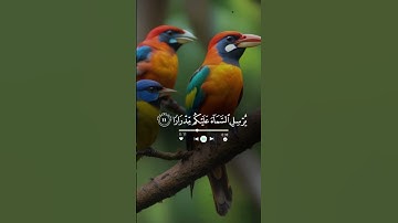 قرآن كريم #قرآن #اكسبلور #قران_كريم #سورة