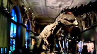 Dinosaur animatronic in Vienna museum