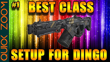 Best Class Setup for Dingo in Nuketown #1