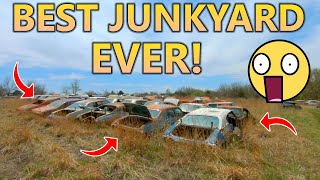 The BEST Junkyard EVER! | TONS of Muscle Cars & Classics! Chevelles, Camaros, Impalas, Etc!