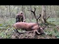 Hunting roaring red stags with Kristoffer Clausen. Episode 5.