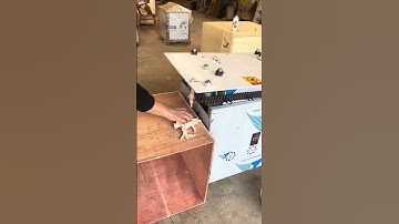 chicken feet deboner Machine