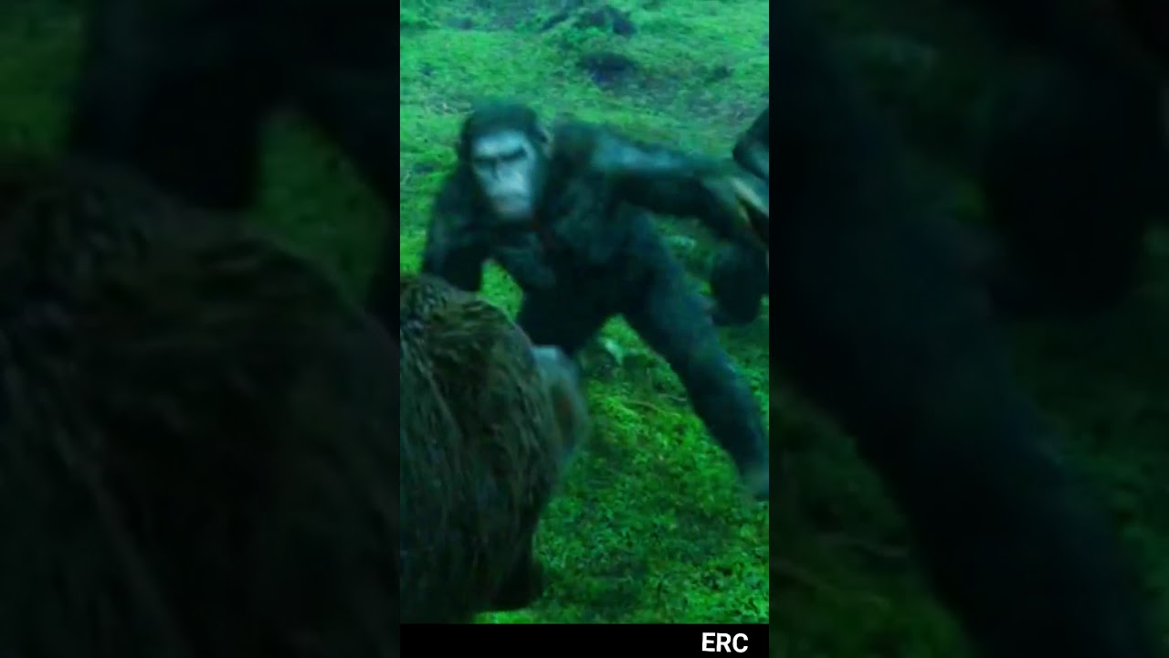 KOBA | Dawn of the Planet of the apes | WhatsApp Status video | 4