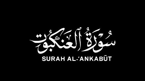 ووصينا الإنسان بوالديه حسنا|كروما قرآن سورة العنكبوت القارئ عبدالرحمن مسعد
