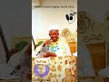 TARIHIN WANI BAWAN ALLAH DA MAHAIFINSHI SHEIKH USMAN KUSFA RIGIRIGI ZARIA TARIHIN WANI BAWAN ALLAH DA MAHAIFINSHI SHEIKH USMAN KUSFA RIGIRIGI ZARIA
